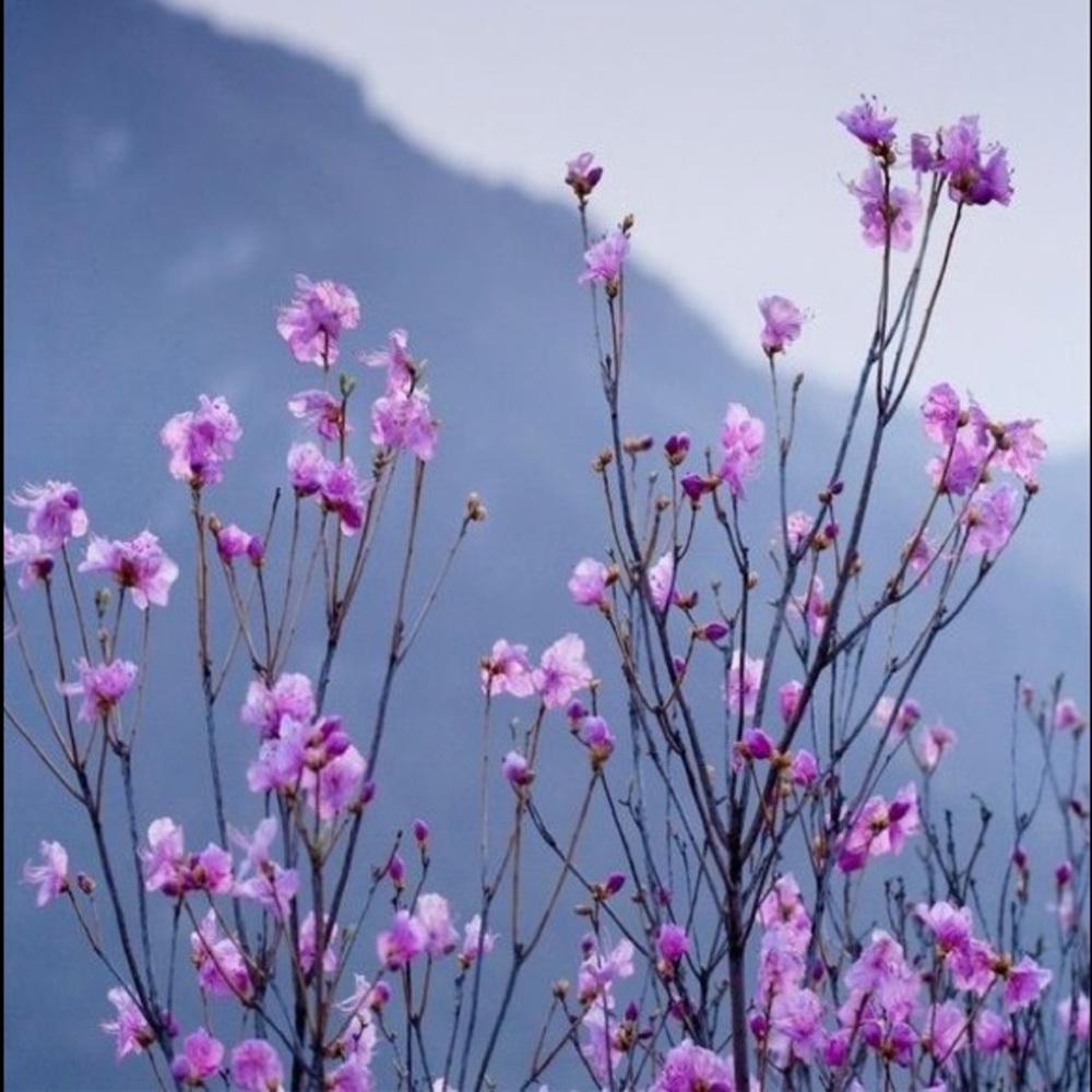 Meet your Posher, Maddie